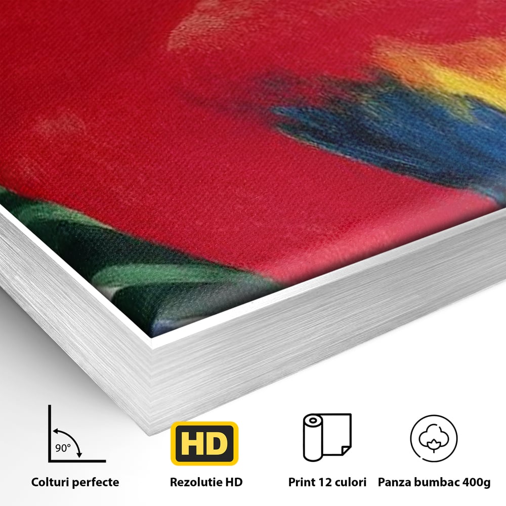 Detaliu al suprafetei: tablou canvas cu papagal rosu, in rama de aluminiu argintiu